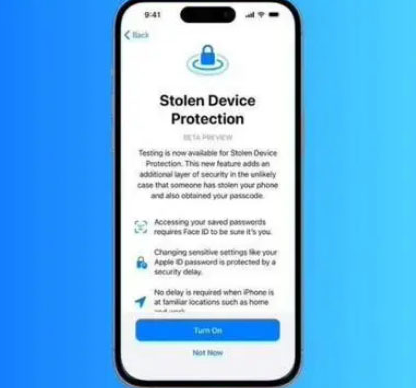 十堰苹果授权维修店分享被盗设备保护功能开启方法 