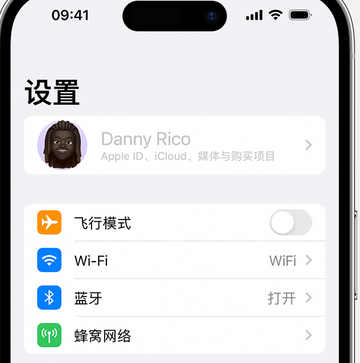 十堰appleID维修服务iPhone设置中Apple ID显示为灰色无法使用 