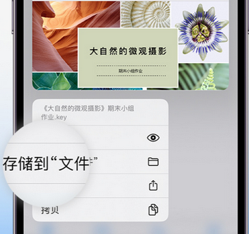 十堰apple维修中心分享iPhone文件应用中存储和找到下载文件