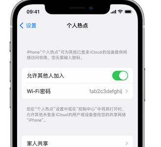 十堰apple服务站点分享iPhone上个人热点丢失了怎么办 