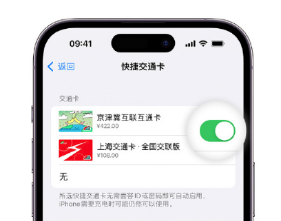 十堰apple维修点分享iPhone上更换Apple Pay快捷交通卡手绘卡面 