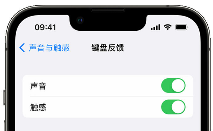 十堰苹果手机维修分享iPhone 14触感键盘使用方法 