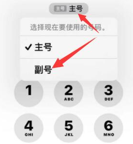 十堰苹果14维修店分享iPhone 14 Pro Max使用副卡打电话的方法 