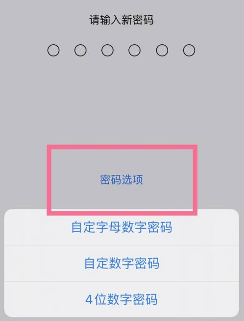 十堰苹果14维修分享iPhone 14plus设置密码的方法 