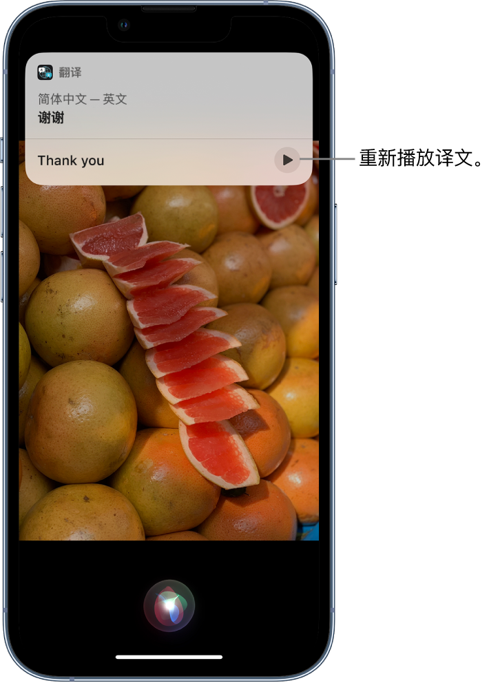 十堰苹果14维修分享 iPhone 14 机型中使用 Siri：了解 Siri 能帮你做什么 