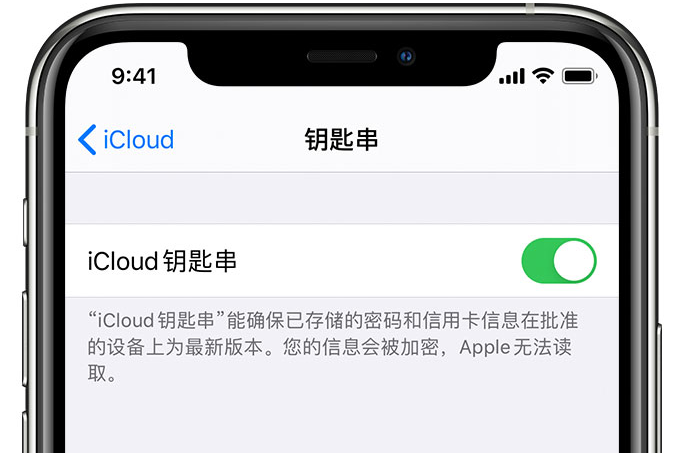 十堰苹果手机维修分享在 iPhone 上开启 iCloud 钥匙串之后会储存哪些信息 