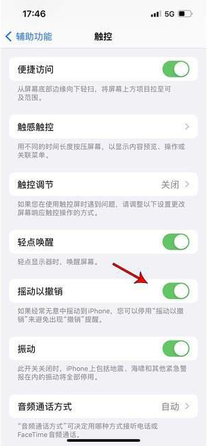 十堰苹果手机维修分享iPhone手机如何设置摇一摇删除文字 